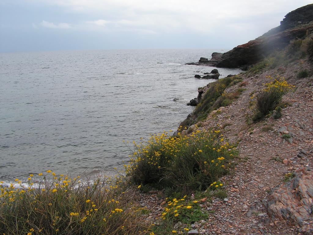 Apartamento Cala Reona Lejlighed Cabo de Palos Eksteriør billede